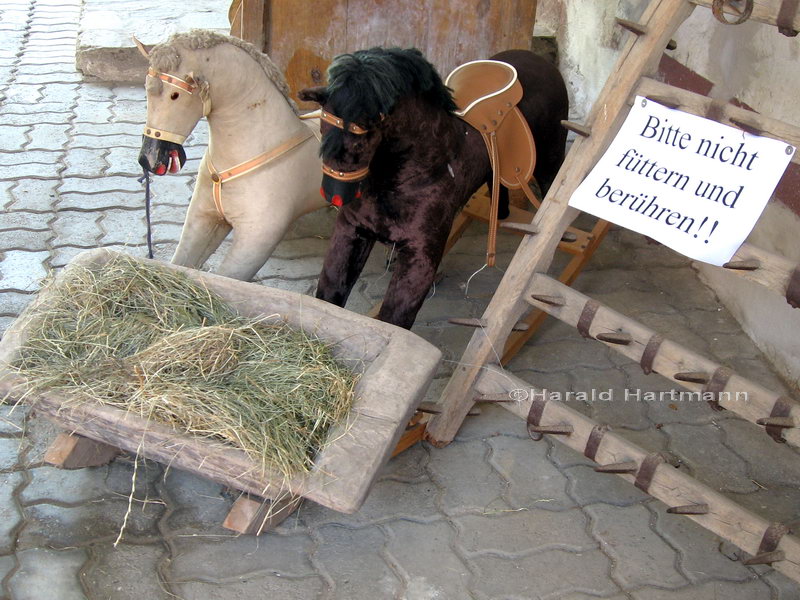 fuetterverbot_pferde_raabs.jpg