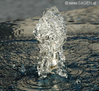 wassermaennchen_1.jpg