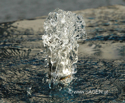 wassermaennchen_2.jpg