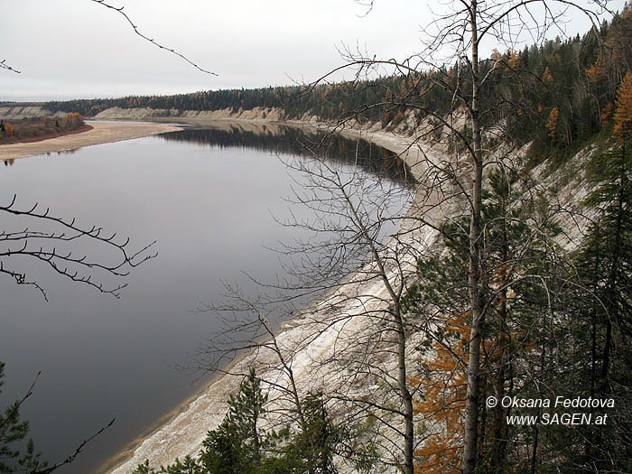 Der Fluss Pinega © Oksana Fedotova