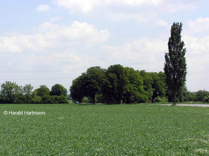Leobersdorf, Heilsamer Brunnen © Harald Hartmann
