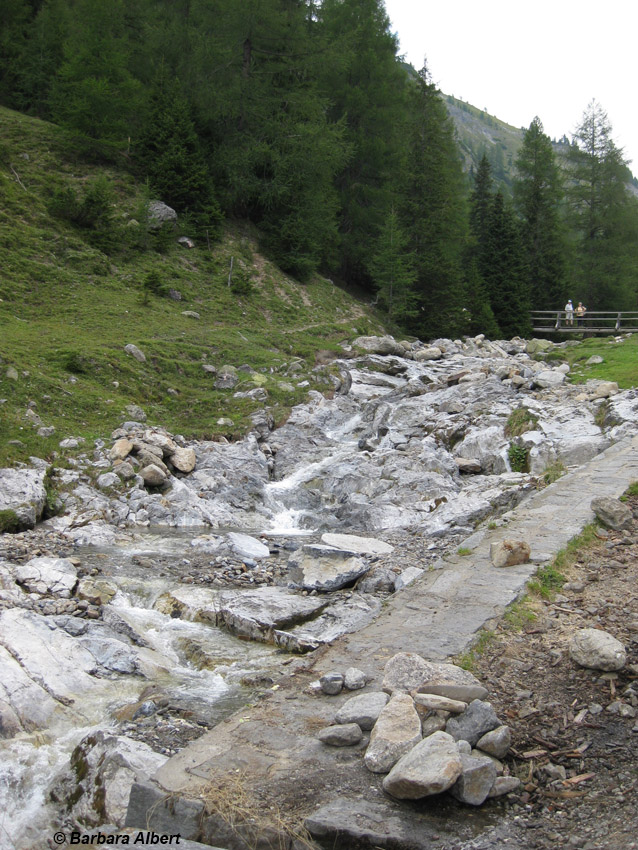 Karlbad im Nationalpark Nockberge © Barbara Albert