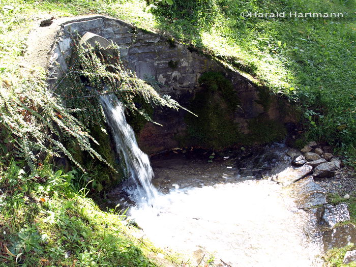 Zum Heiligen Wasser - Quellabfluss © Harald Hartmann
