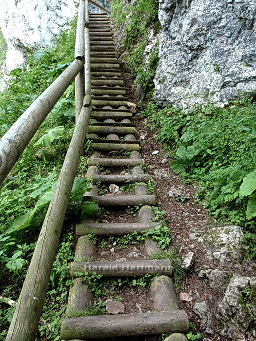 Holztreppe zum Schüsserlbrunn © Harald Hartmann