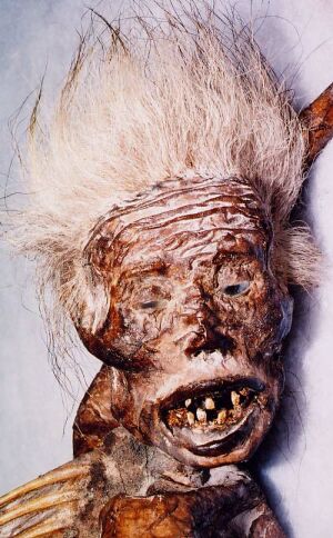 Mumifizierte Meerjungfrau gefunden