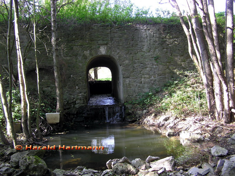 Lengbachlklause bei Klausen-Leopoldsdorf © Harald Hartmann