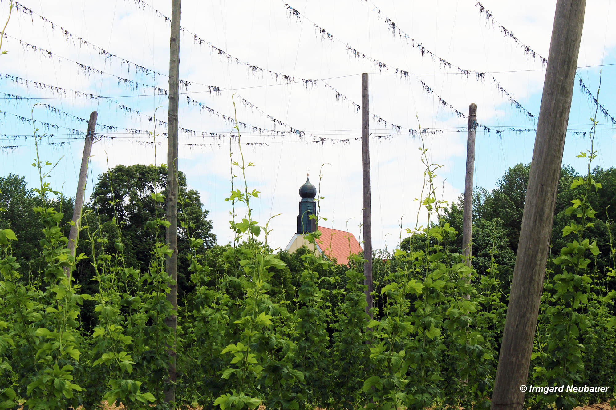 Elsendorf, Landkreis Kelheim, Niederbayern - Wallfahrtskirche St. Anton