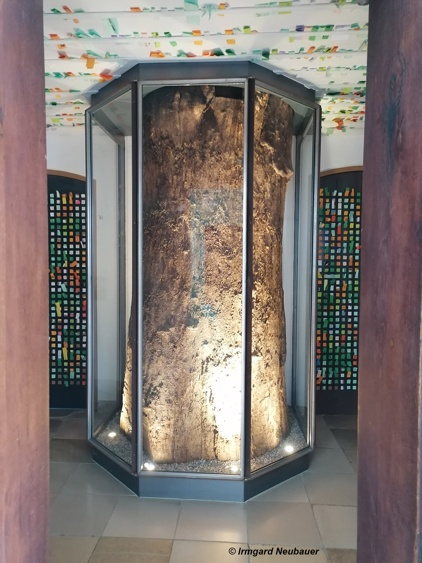 Planegg, Augustinerkloster mit Wallfahrtskirche Maria Eich - der originale Eichenstamm hinter Glas, Gnadengesuche in bunten Zetteln