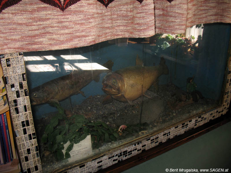Das Aquarium in der Gaststube des Hotel Hochfinstermünz © Berit Mrugalska