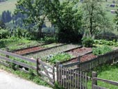 Kräutergarten in Alpbach, Tirol © Wolfgang Morscher