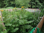 Kräutergarten Flachgau, Salzburg © Wolfgang Morscher