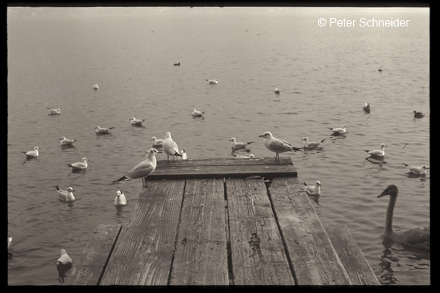 Esplanade Gmunden © Peter Schneider