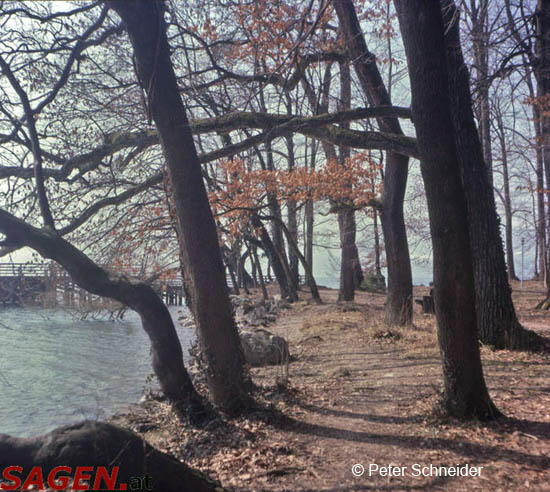 Toskanapark Gmunden © Peter Schneider
