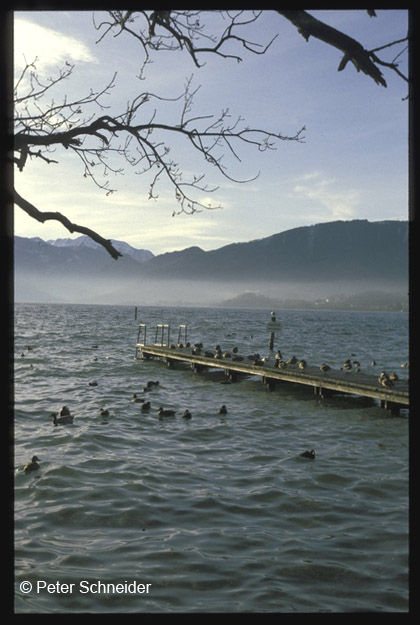 Traunsee © Peter Schneider