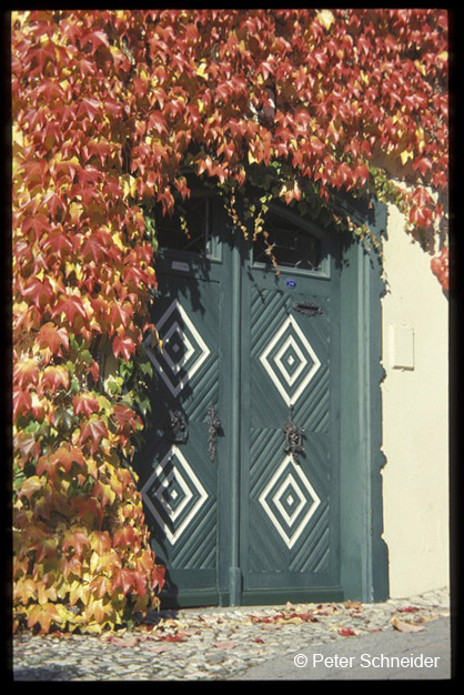 Wunderburgstrasse Gmunden © Peter Schneider