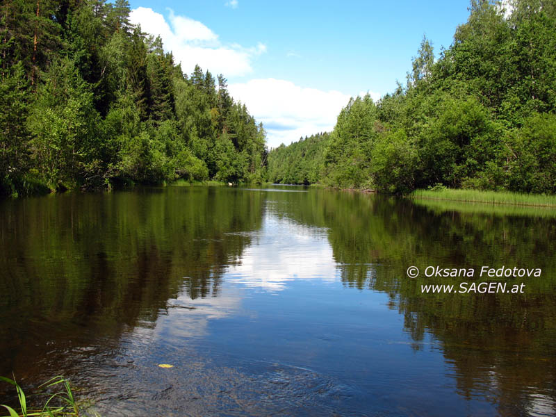 Der Fluß Suna. Karelien, Nordwesten Russland © Oksana Fedotova