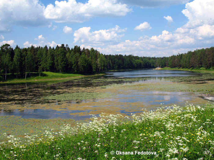Der See Pleszy, Mirny, Russland © Oksana Fedotova