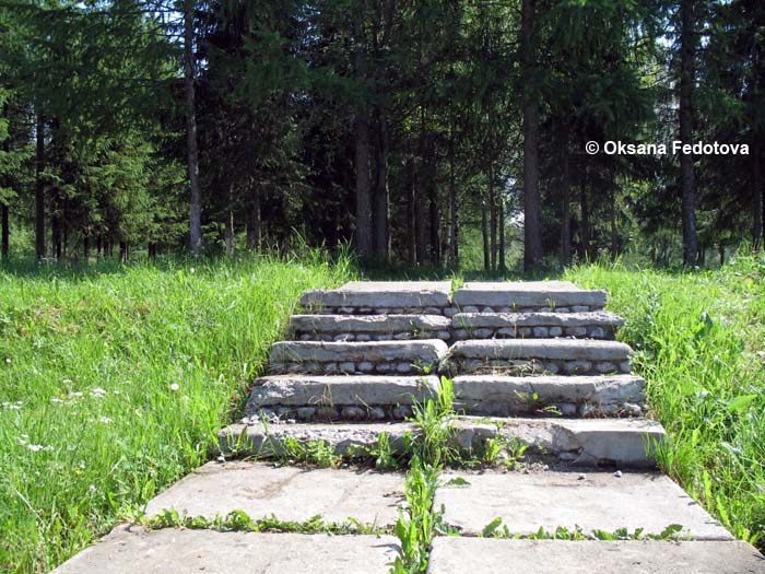 Der alte Park, Mirny, Russland © Oksana Fedotova