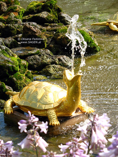 Schildkröte der Orangerie-Fontäne, Peterhof © Oksana Fedotova