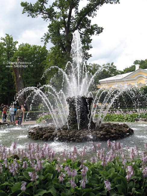 Garben-Fontäne, Peterhof © Oksana Fedotova