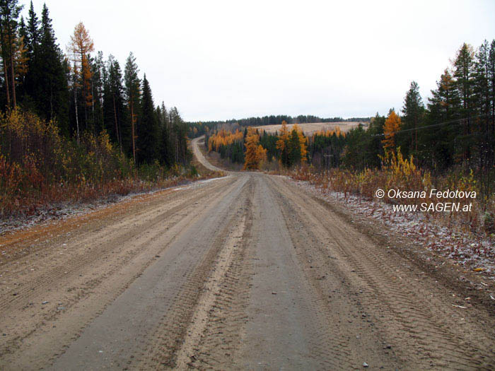 Autostraße in Pineshje © Oksana Fedotova