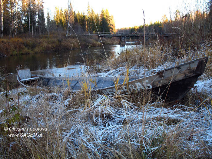Fluss Joshuga, Pineshskij Bezirk © Oksana Fedotova