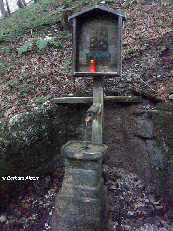 Plainberg, Bergheim, Augenbründl © Barbara Albert