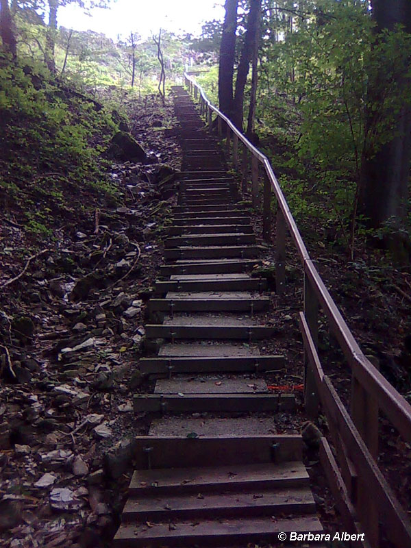 Plainberg, Bergheim, Augenbründl © Barbara Albert