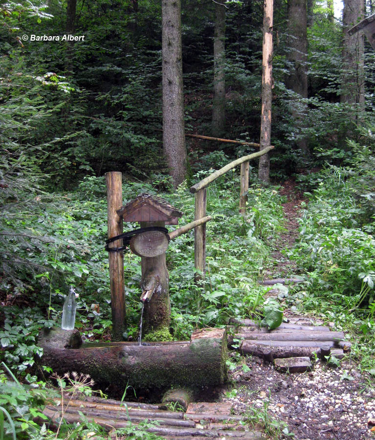 Bründl im Mehrntal, Lengau © Barbara Albert