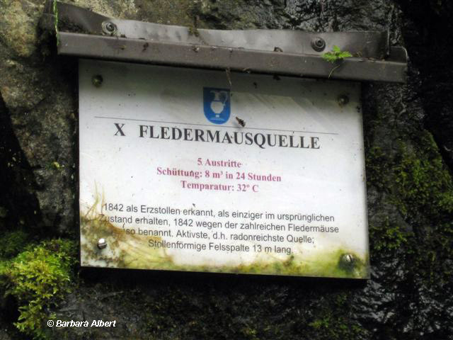 Fledermausquelle Bad Gastein © Barbara Albert