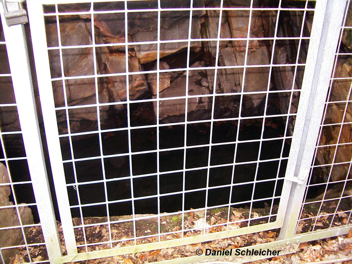 Teufelsbrunnen, Luftenberg © Daniel Schleicher