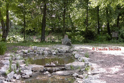 Neckarquelle © Claudia Beckers