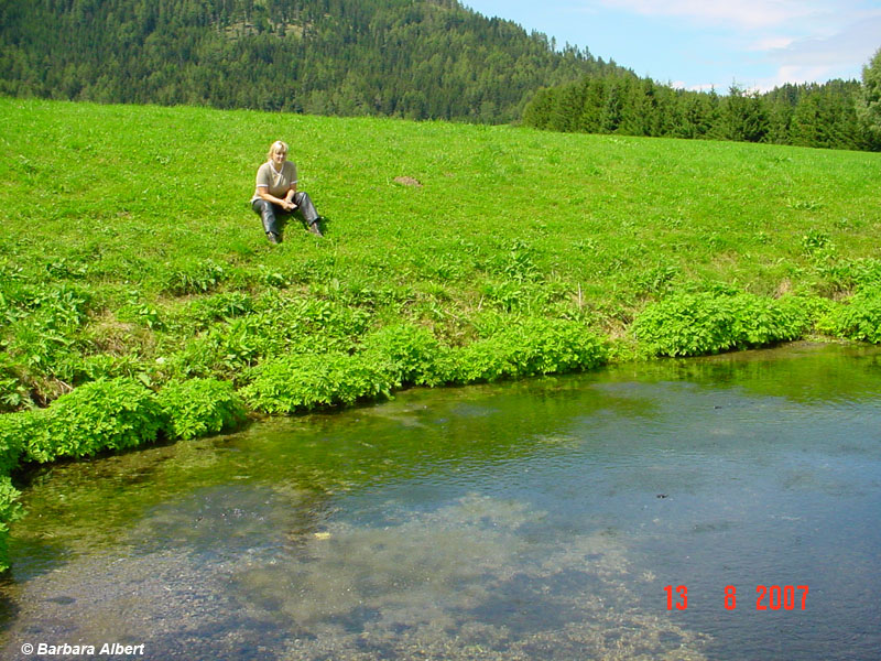 Pöllau bei Zeutschach, Ursprungquellen © Barbara Albert