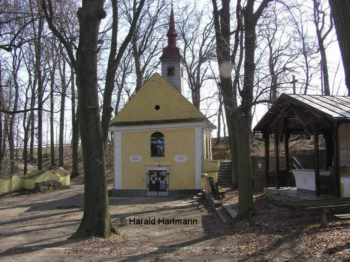 Pulkauer Bründl, Pulkau © Harald Hartmann