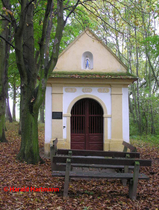 Sch&ouml;ngrabern, Mariabr&uuml;ndl &copy; Harald Hartmann