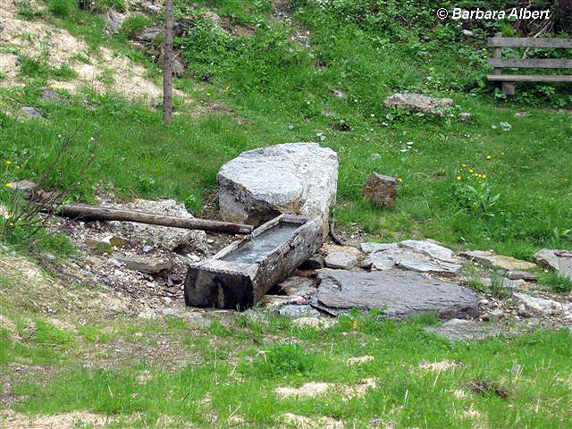 Schwefelquelle am Gartnerkofel © Barbara Albert