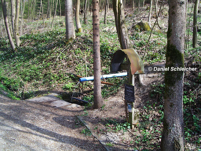 Quelle Windegg, Schwertberg © Daniel Schleicher