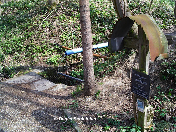 Quelle Windegg, Schwertberg © Daniel Schleicher