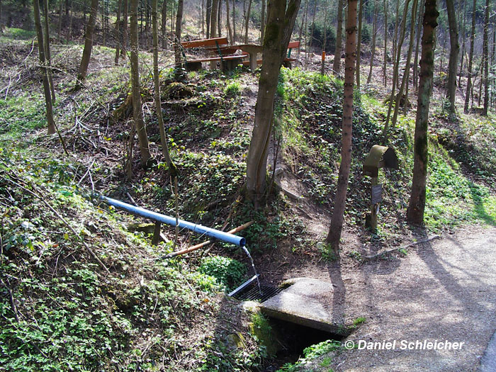 Quelle Windegg, Schwertberg © Daniel Schleicher