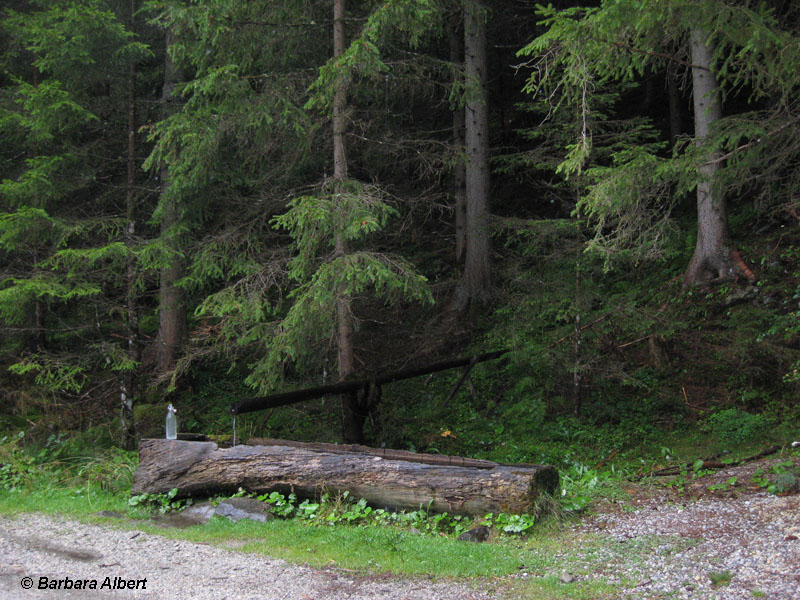 Weißpriach, "Kaltes Bründl" © Barbara Albert