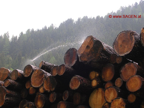 Holz, beregnet © www.SAGEN.at