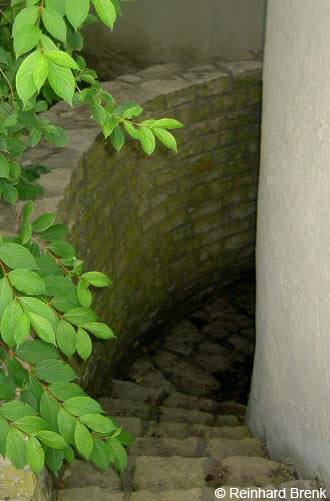 Stiege zur Qulle, Ostenbrunnen, Etting © Reinhard Brenk
