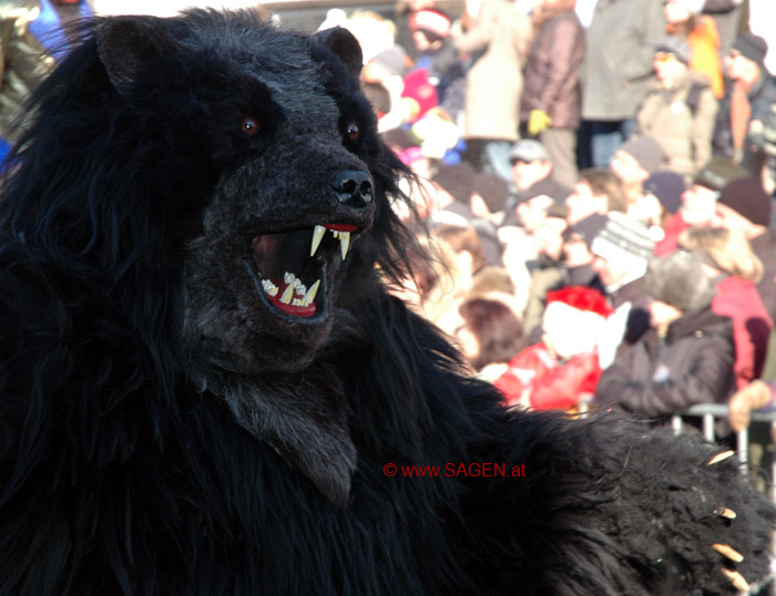 Bär © Wolfgang Morscher