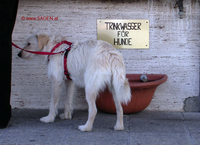 Hundebrunnen © Berit.Mrugalska@sagen.at