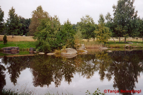 Naturpark Blockheide©Tanja Beinstingl