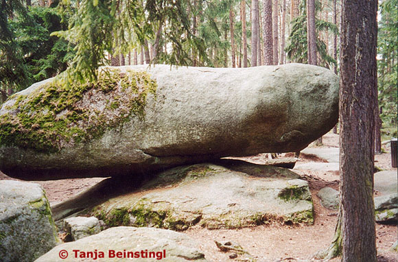 Blockheide © Tanja Beinstingl