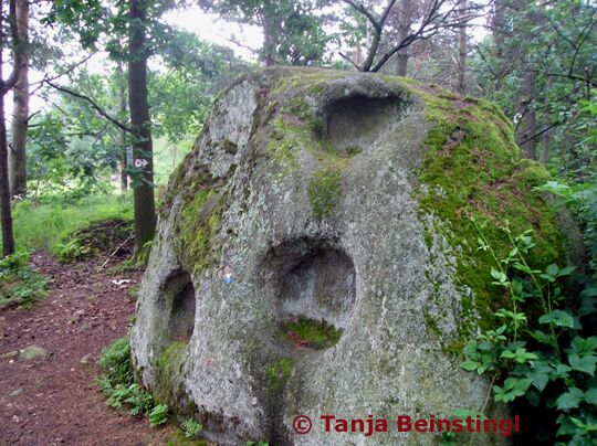 Stehende Schale © Tanja Beinstingl