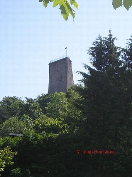 Ruine Arlesbach © Tanja Beinstingl