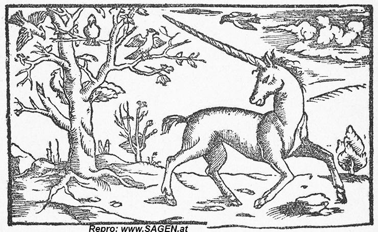 Einhorn, Sebastianus Munsterus 1598