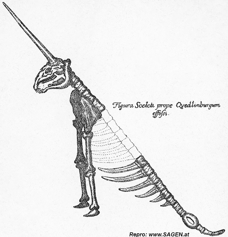 Rekonstruktion des Einhorns Otto von Guericke